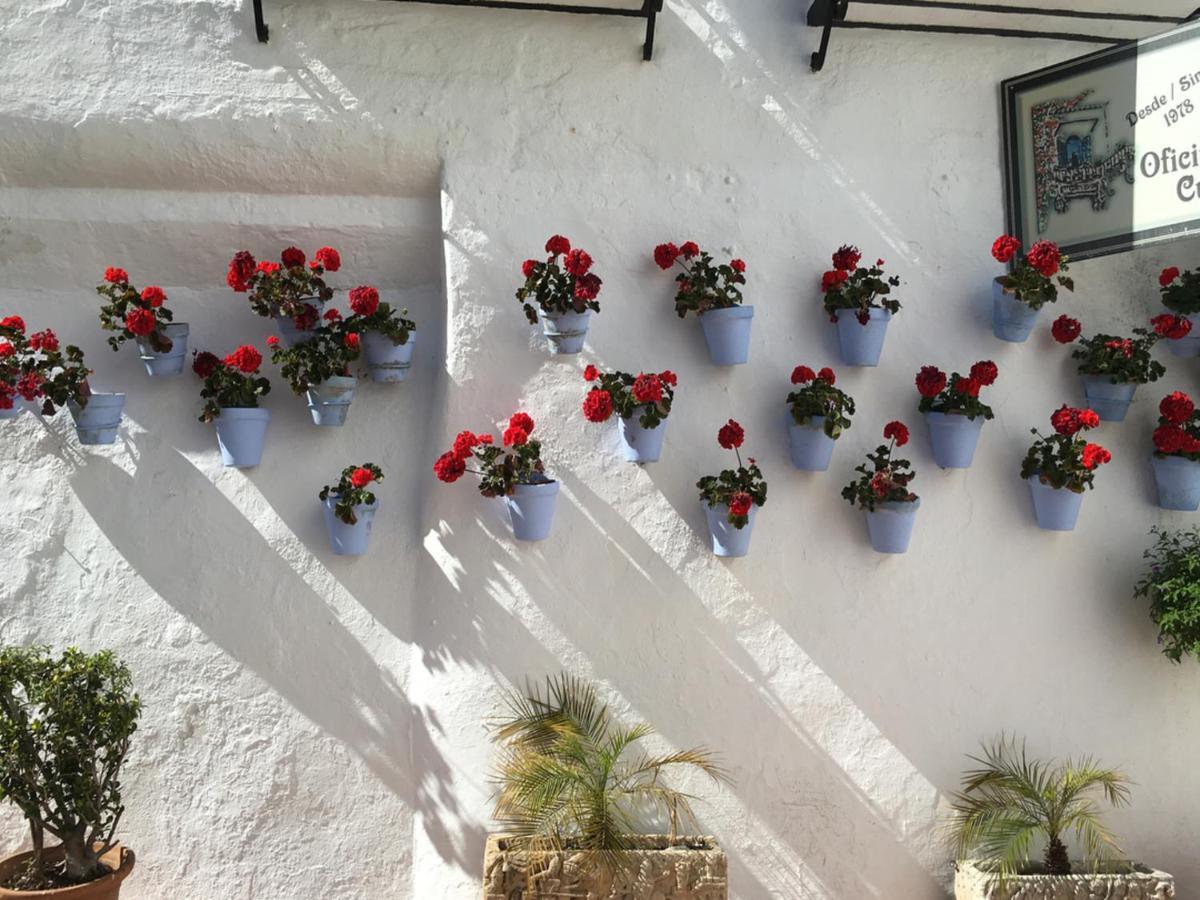 Ferienwohnung Paris Dream - Torremolinos Exterior foto